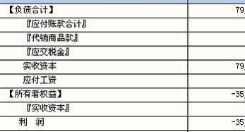 请问：管家婆分销ERP V3里面怎么录入“实收资本”？