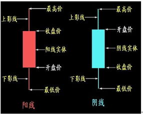 想学股票该咋办