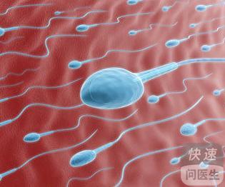 男人多少岁没有精子了,那些没遇见卵子的精子，都到哪去了？