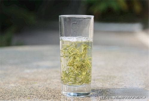 你知道绿茶的正确泡法吗 掌握这4点,教你泡出好茶