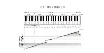 一张图揭示钢琴和电子琴的区别,学钢琴到底能用电子琴代替吗