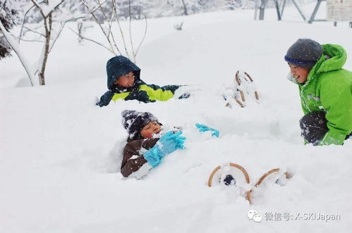 北海道小孩的冬季生活,才是让雪友羡慕嫉妒恨的生活