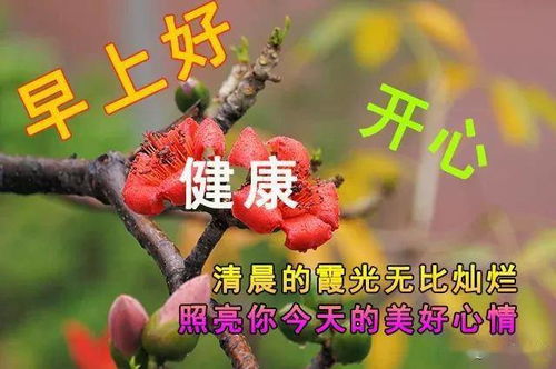 秋天漂亮的早安励志图片（秋天早安祝福语？）