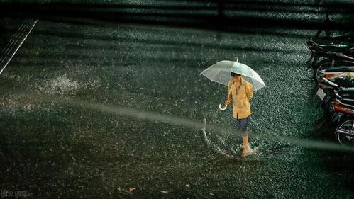 如何运用阴雨天气的光线拍大片 这些摄影技巧你知道吗