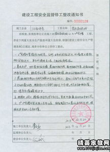 技师整改方案模板(技师履职情况)