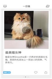 模拟养猫app下载安装 模拟养猫app1.0手机版下载 飞翔下载 