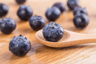 减肥 神器 大盘点,不得不说的减肥食物 蓝莓