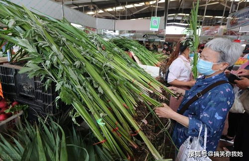 端午节悬挂艾草讲究多,别犯 忌 ,这样做会被人笑话