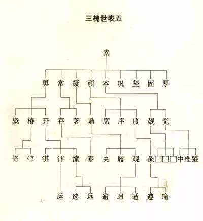 王氏三槐堂族谱世系图,姓王的请对接寻根