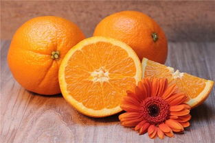 梦见摘橙子