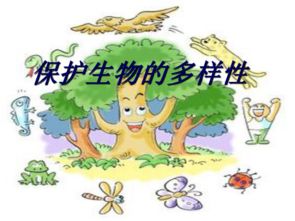 保护生物多样性主要是保护什么及其什么