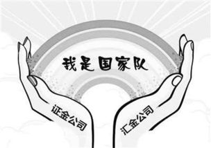 股市中的“国家队资金&quot;指什么资金？