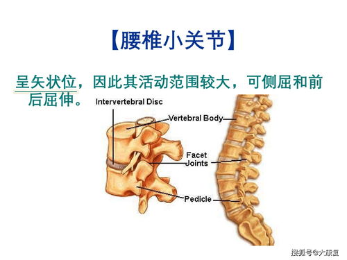 胸椎小关节紊乱，反复发作，如何治疗