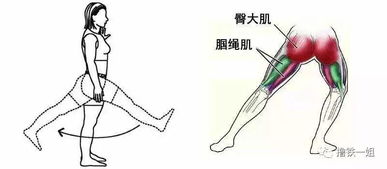 抬腿用的是哪块肌肉(抬腿是靠哪个肌肉)