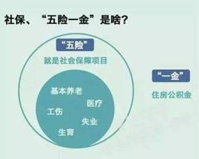 我们这样的情况该怎么交社保？社保达人请指教一下！