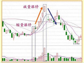 怎么判断一只股票会不会涨停？？？