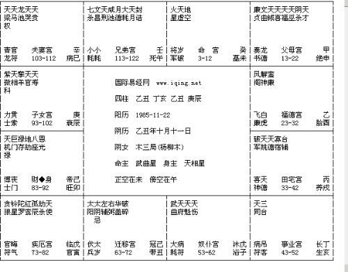 求高人解紫薇命数 