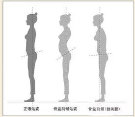 深度解析骨盆与女性健康之谜 产后修复骨盆正位是关键,骨盆不正是女性疾病根源 