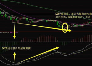 阳线反包十字星是看涨吞没形态吗