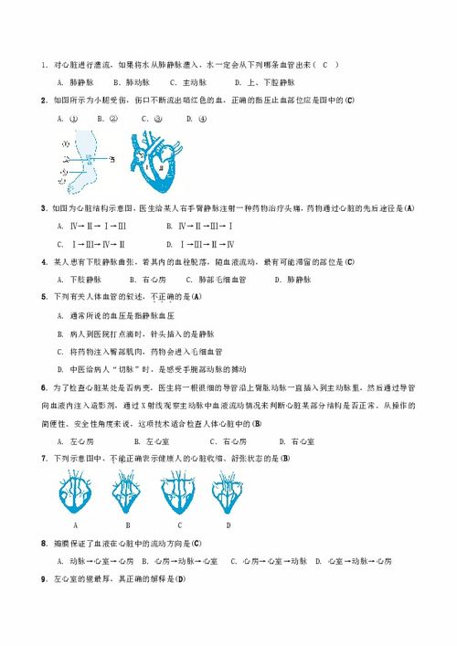 科学九上第4章 代谢与平衡 知识点梳理 