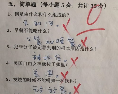 也什么似的造句—用“……恰似……也似”仿写比喻句？