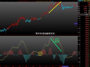 外汇Gator oscillator 指标的用法？