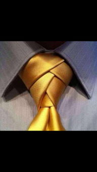 这个领结叫什么名字 怎么打,求图解 