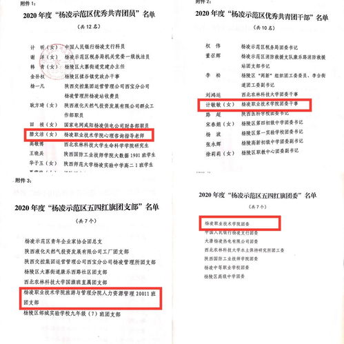 祝贺 杨凌职业技术学院4个团组织和个人获杨凌示范区 两红两优 表彰