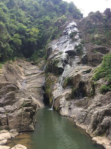 温州瓯海泽雅景区一日游