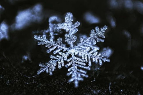 What makes a snowflake special?, News