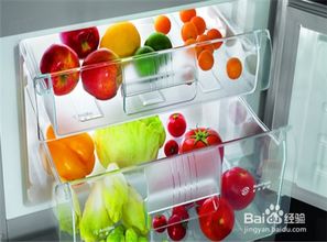 各类食物能在冰箱里放置多久