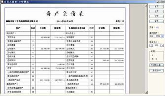 在报表软件中，报表项目不包括什么。