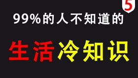 万万没想到 99 的人都不知道的20个生活冷知识 油兔不二字幕组