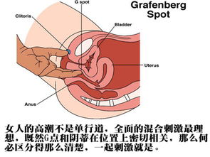 高清 性高潮时私穴变肿胀全过程