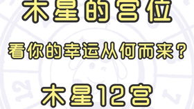 太阳落在十二宫位之第12宫 人的一生,在于修心 太阳宫位看你在什么领域最有成就