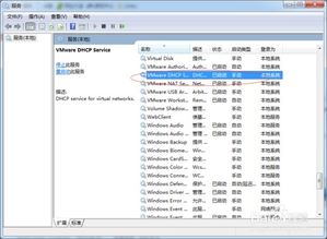 解决VMware nat service等服务不能启动 