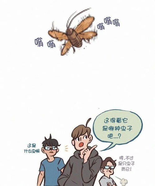 沙雕男的宿舍最怕什么