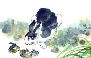 兔子在古代代表什么(古代兔子的含义及象征意义)