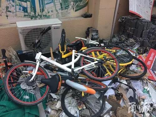 宁波今起暂停投放共享单车 当地总量已超20万辆