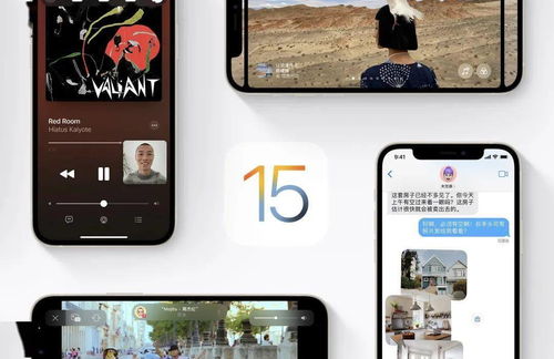 苹果发布 iOS 15 iPadOS 15 正式版 众多新功能到来