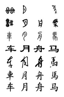 查俊杰,这几个字,用草书写 