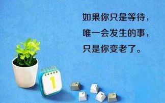 励志网名吧—两个字的励志网名有什么？解释下含义？