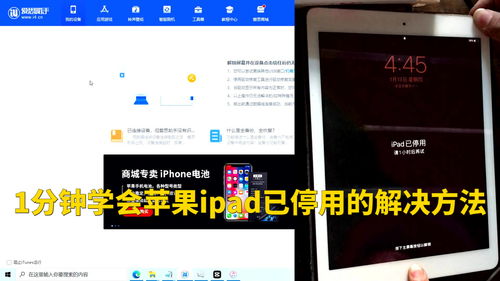 ipad已停用怎么办(ipad停用了怎么办最简单的方法教程)