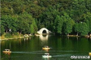 春节期间仙湖植物园实行网上预约入园 除夕夜限票2万张