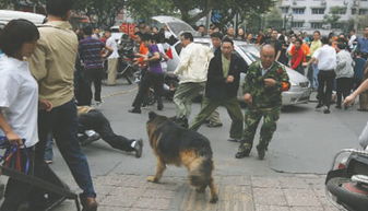 藏獒狂躁主人求助民警 连开三枪将其击毙 