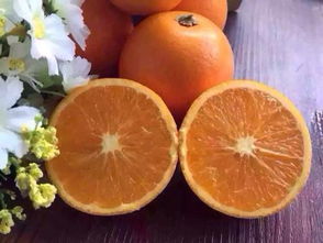 橙子什么季节吃最好,9月的冰糖橙是当季