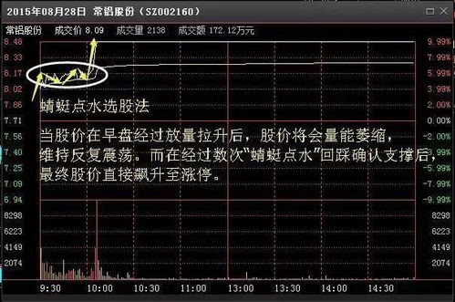 真心请教高手，第一次买股票！我今天买了一只股7.37买进7.49收盘明明是涨了！我怎么还亏啊！怎么回事呢？就买了一百只！谁告诉我啊