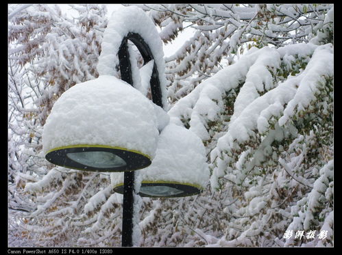 北京难得的瑞雪 二