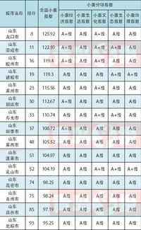 全国小康城市排名出炉 烟台全国排34位,全山东排第... 附区市排名 