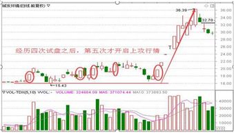 股票里的术语“买壳”和“阻击”是什么意思